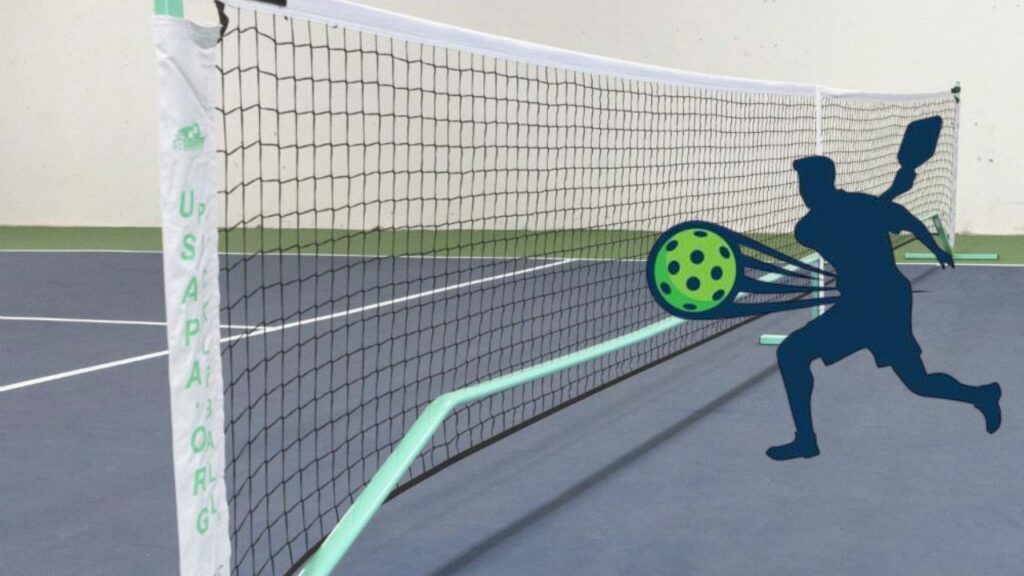 Pickleball Nets for Indoor Use