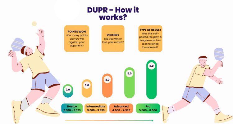 DUPR Skill Levels