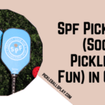 Spf Pickleball (Social Pickleball Fun) in Chicago